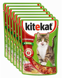 Kitekat корм пауч для взрослых кошек, говядина в желе, выгодный набор 10шт*85гр (75980)